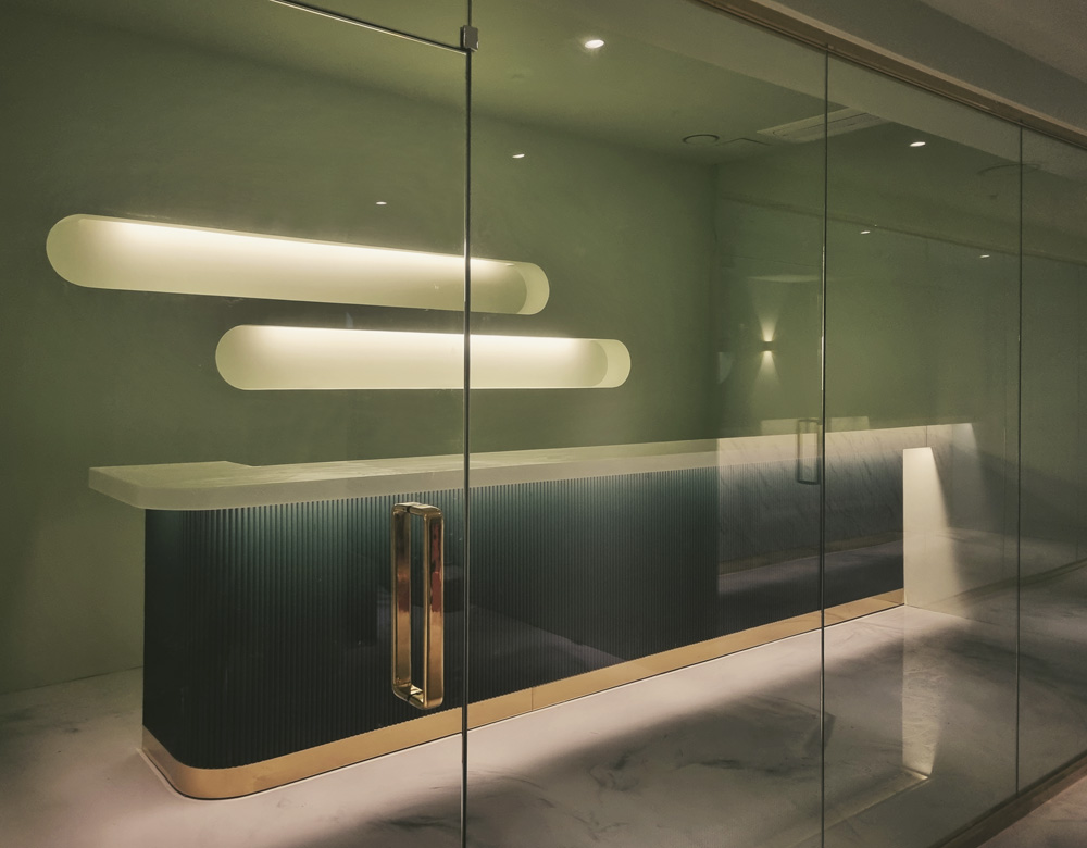 高级私人住宅的现代奢华设计-6