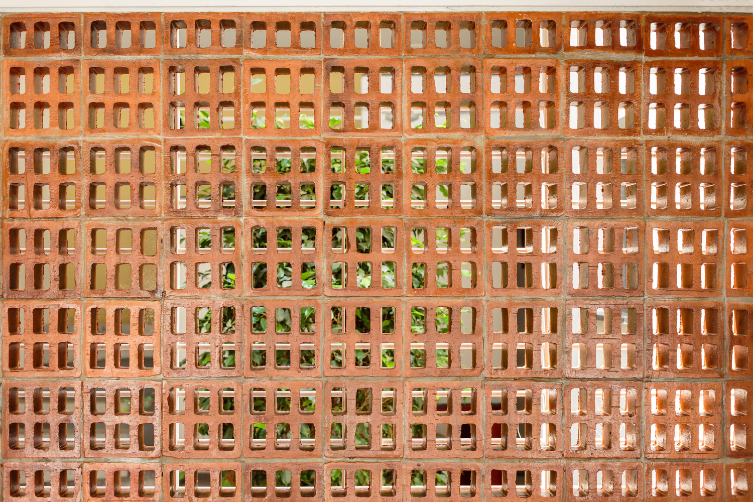 In·X·Hale 住宅-43