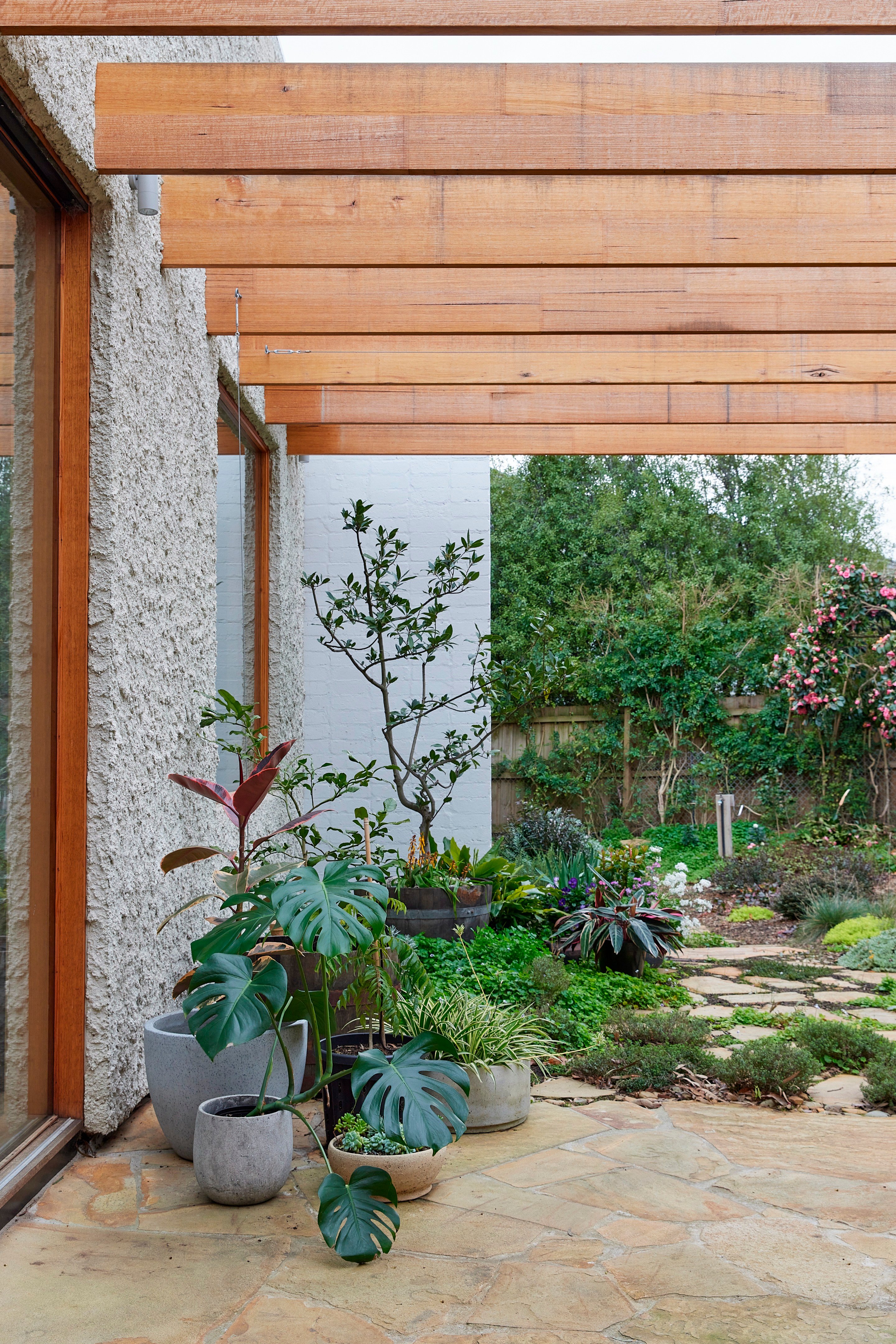 当地住宅丨澳大利亚丨Zen Architecture-7