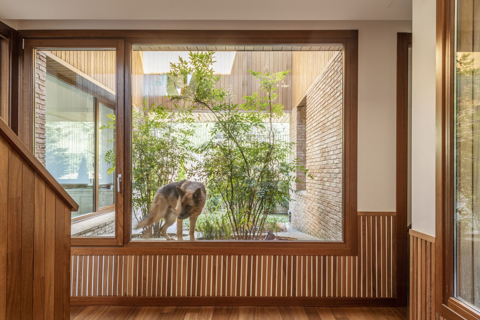 冠军摇篮儿童发展中心丨西班牙丨Espacio Colectivo Arquitectos-8