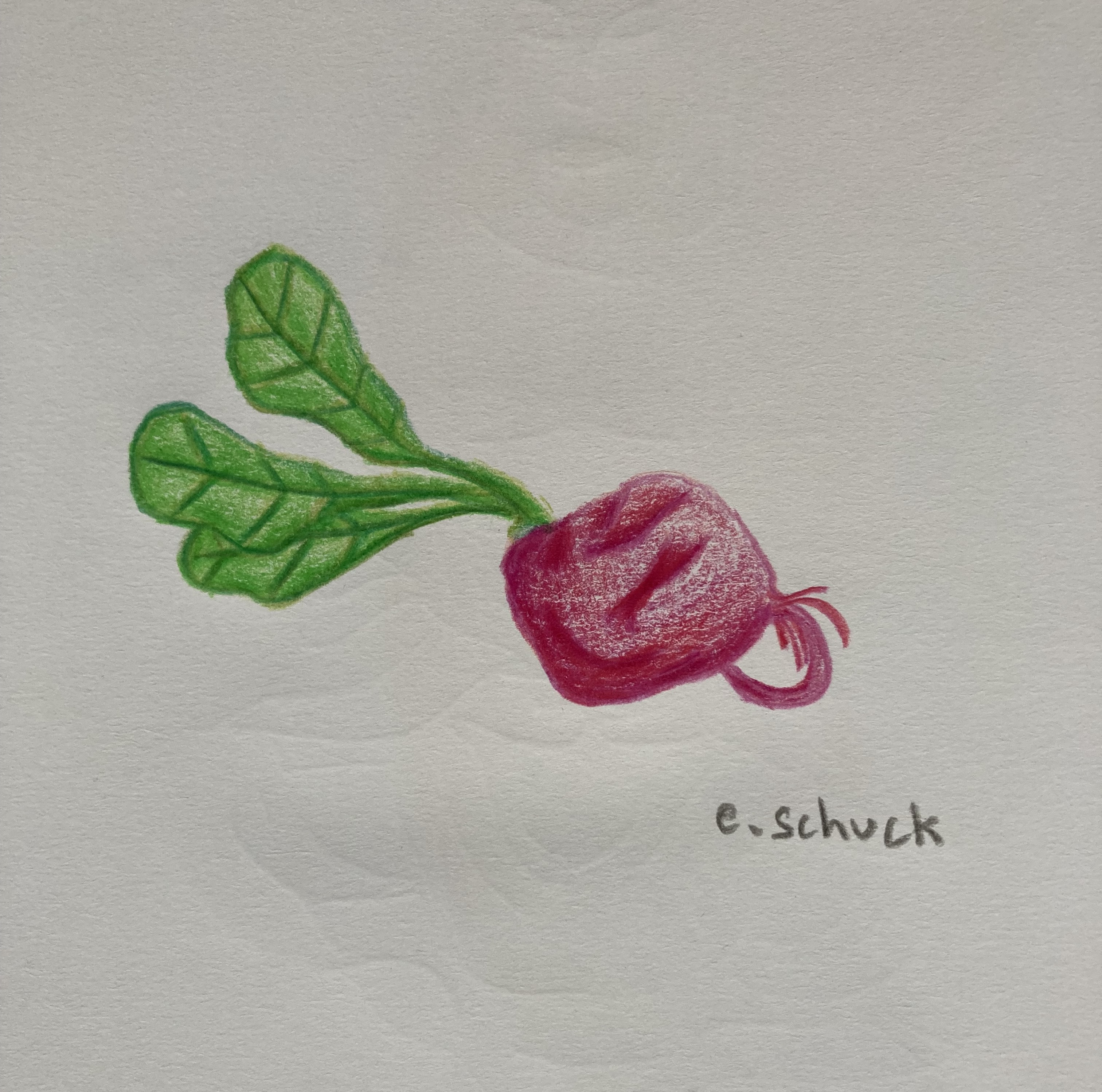 Essais aux Polychromos sur carnet A4...-3