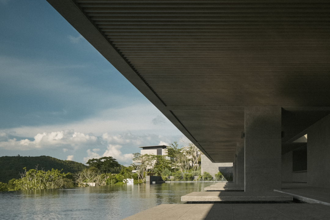 山岚褶皱处的寂静生长|阿那亚三亚景观秘境诗学-275