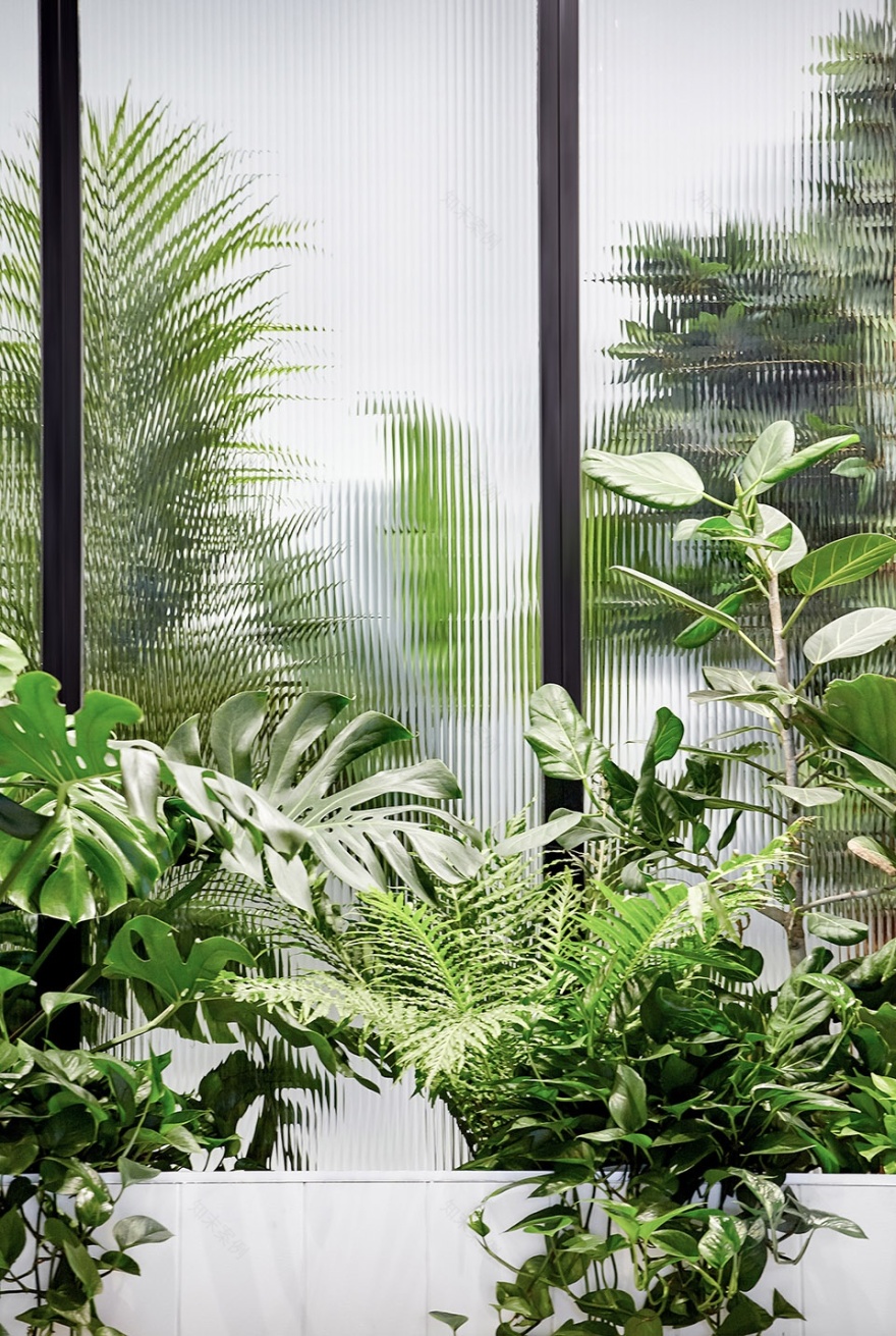 多伦多 iQ Food Co· 餐厅-16