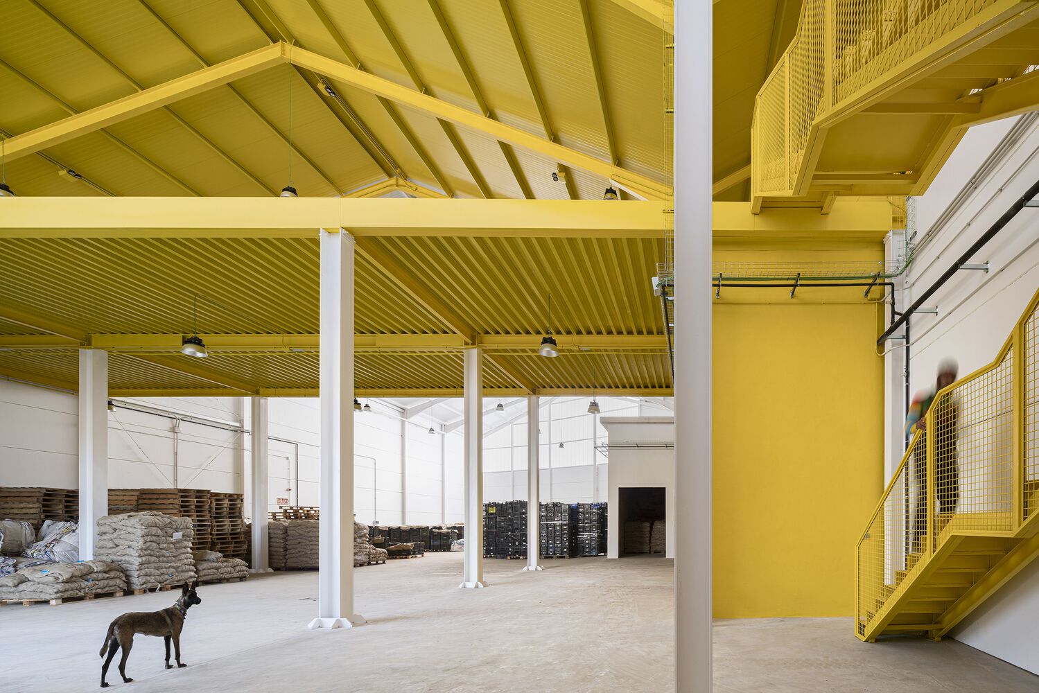 西班牙水果和蔬菜中心Raspa y Amagado建筑丨FORarquitectura-26