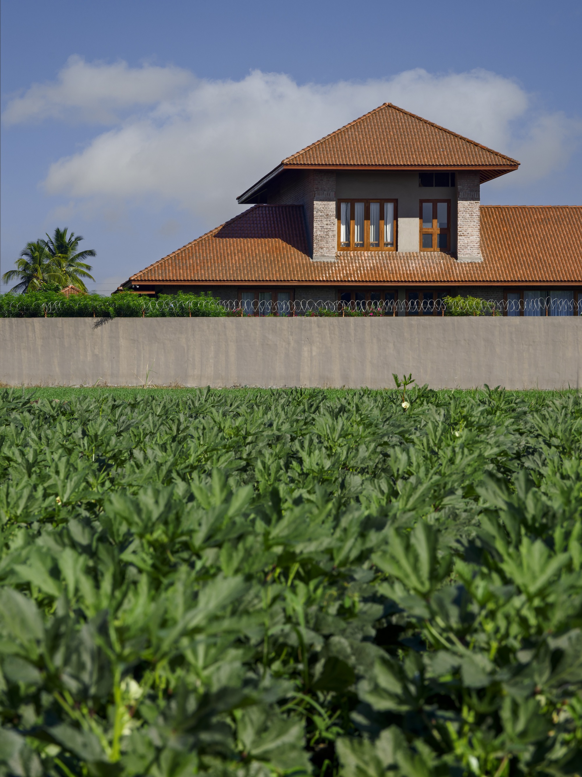 两院之屋丨印度丨Studio mahajani + mahajani-24