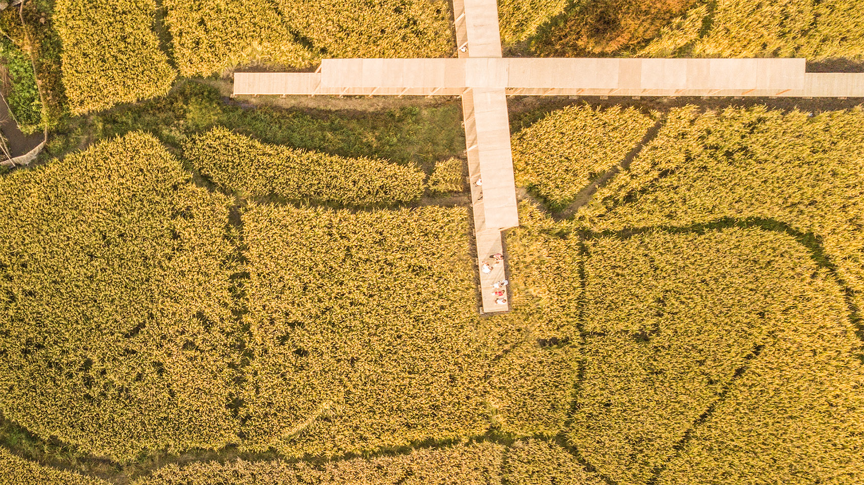 青石寨的稻亭和稻场，福建 / 个个世界+先进建筑实验室-78