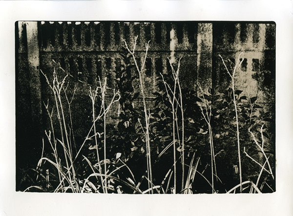 Darkroom Prints-5