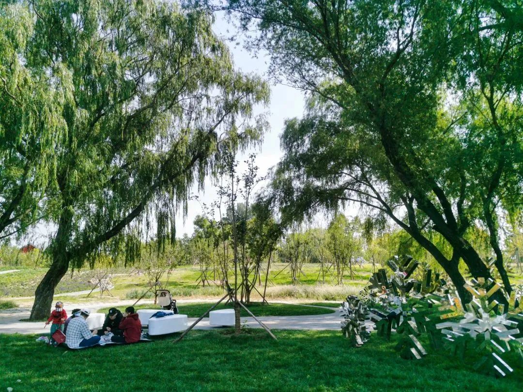 【匠心设计】“绿心”跃动，绘就北京城市副中心生态和谐画卷-41