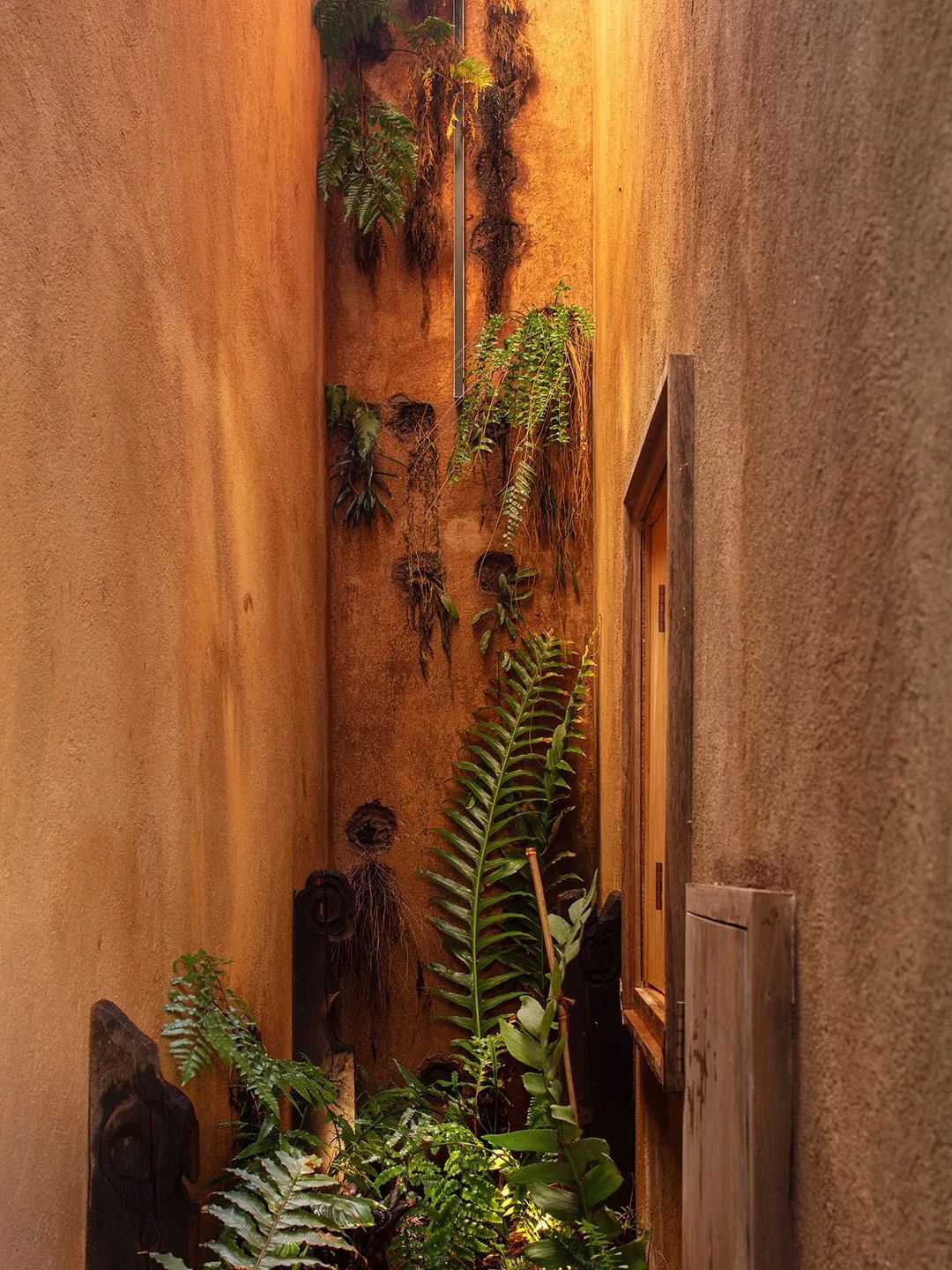 xiān氙建筑/南方的院子：东南村8号-503