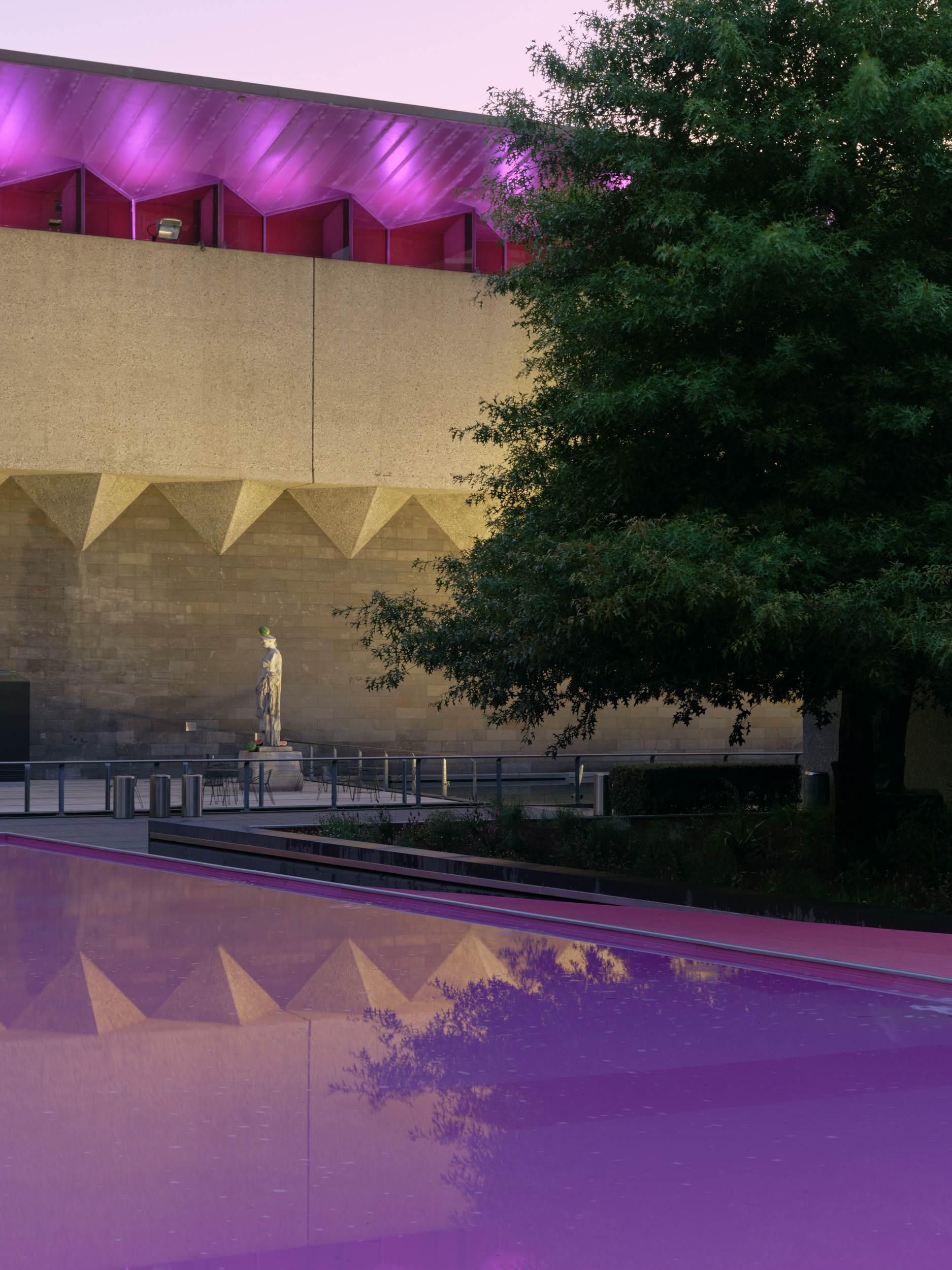 粉色池塘丨澳大利亚墨尔本丨Taylor Knights+James Carey-17