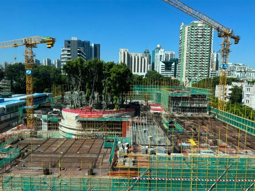 荔园外国语小学（景田）丨中国深圳丨直向建筑-15