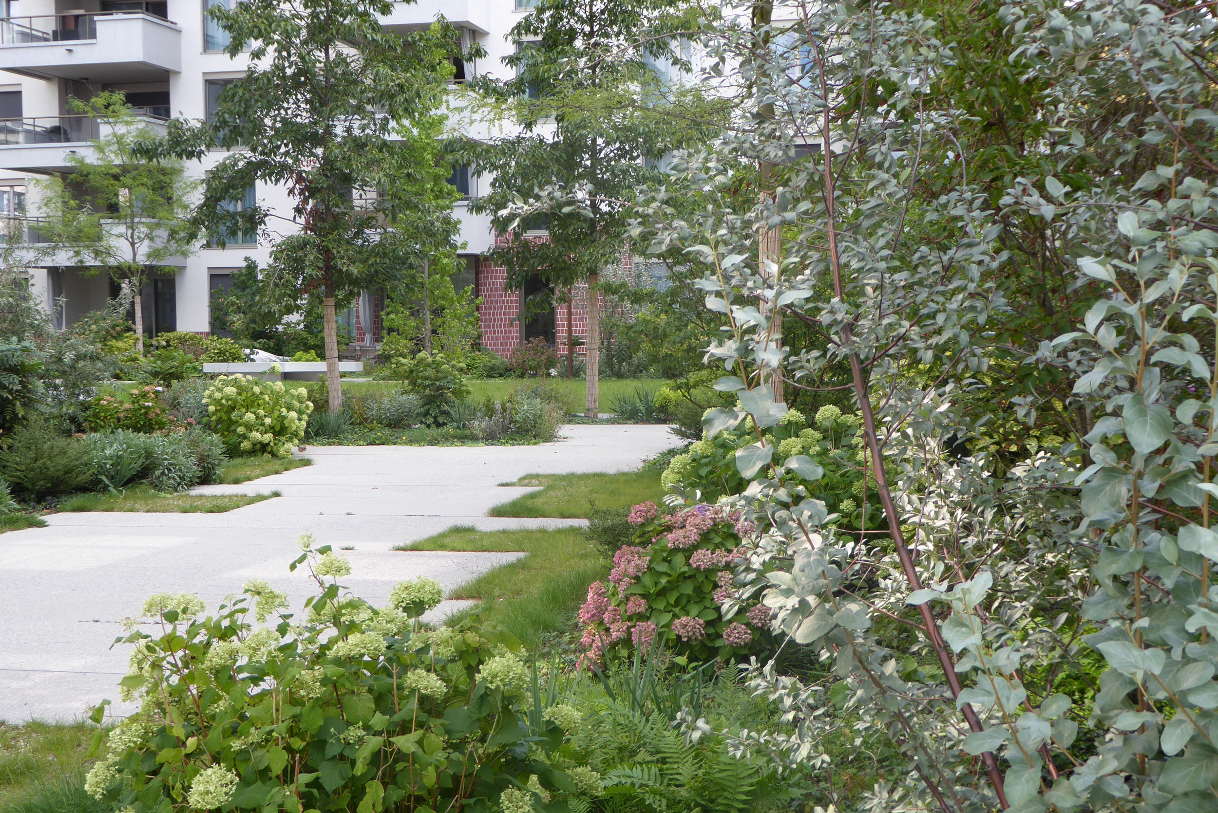 Housing The Cloud Baar 住宅庭院丨瑞士丨Studio Vulkan-7