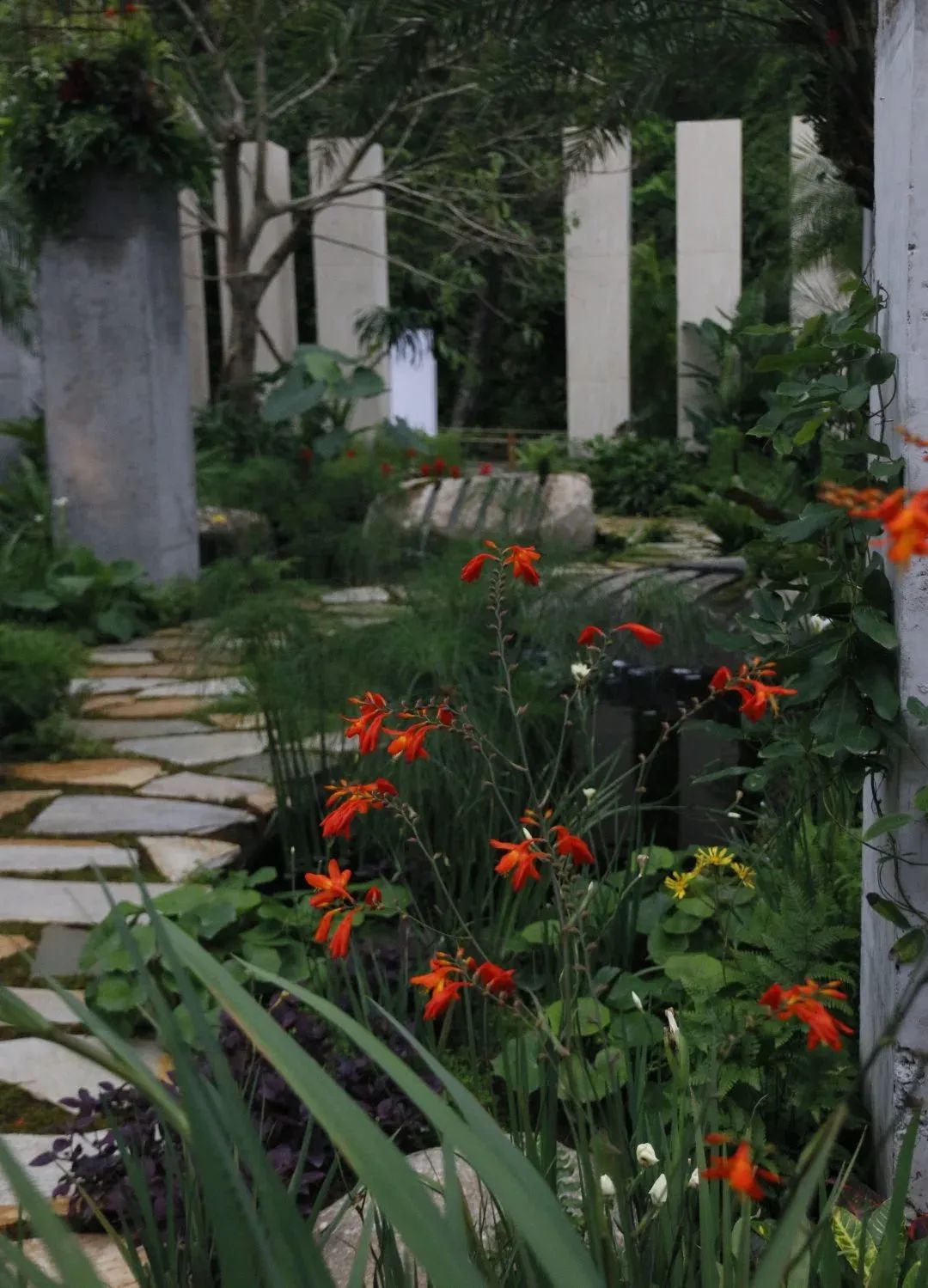 仲夏夜之梦 · 莎士比亚灵感的花园设计丨中国深圳丨Sarah Eberle(英国)-55