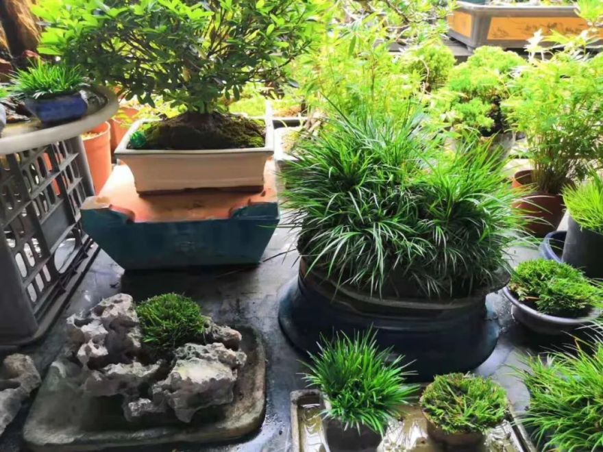 院落生活 | 诗与远方的完美结合-54