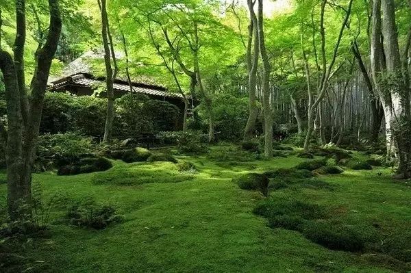 日式禅意庭院-26