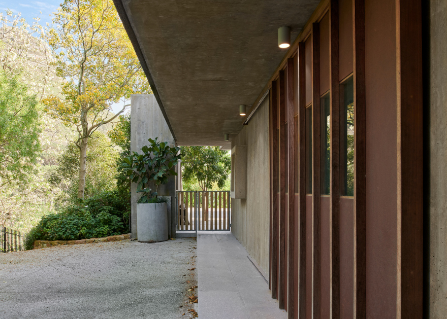 南非野梅树屋丨Daniel Maggs Architects-9