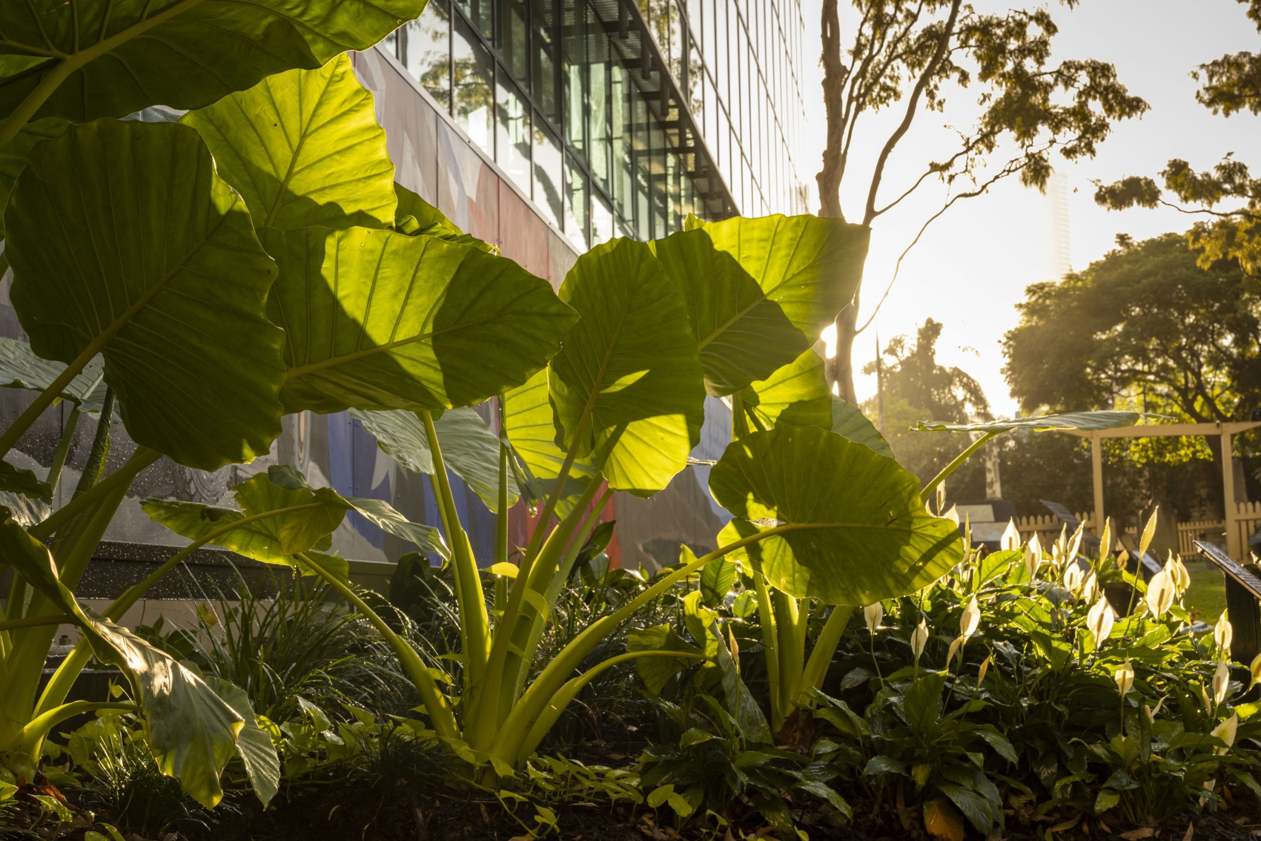 阿富汗战争纪念馆丨中国兰州丨Tanya Wood Landscape Architecture-24
