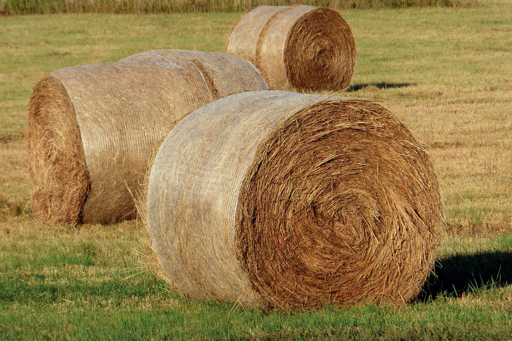 5个震后重建项目，意大利 / MC A建筑事务所-223