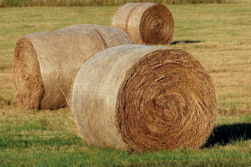 5个震后重建项目,意大利 / MC A建筑事务所-223