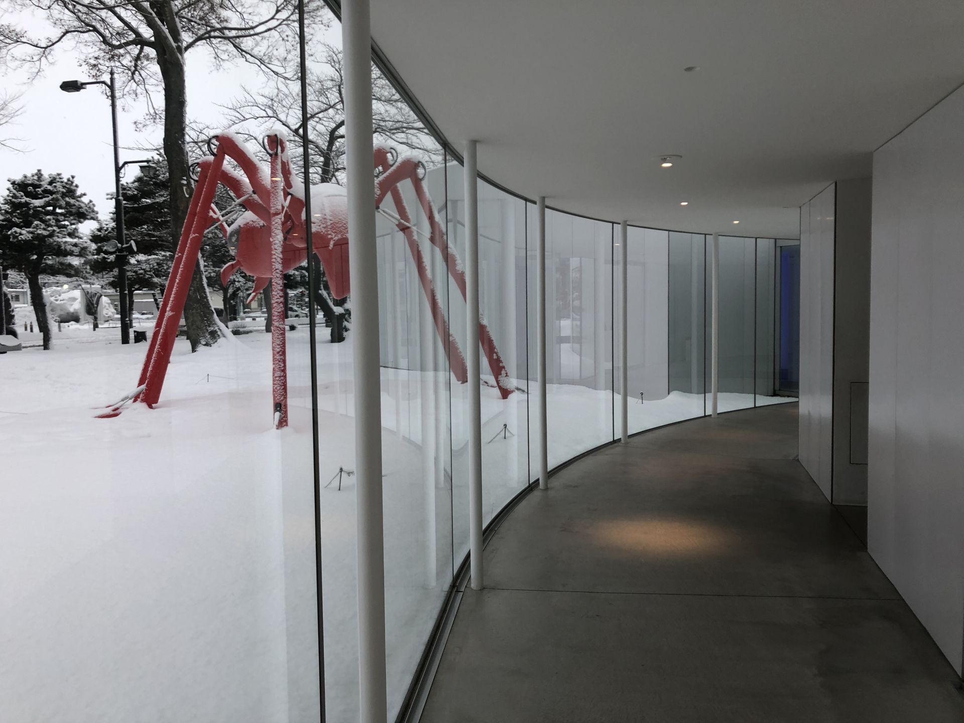 十和田市现代美术馆丨日本青森丨建築家ユニットSANAA（西沢立衛,妹島和世）-49