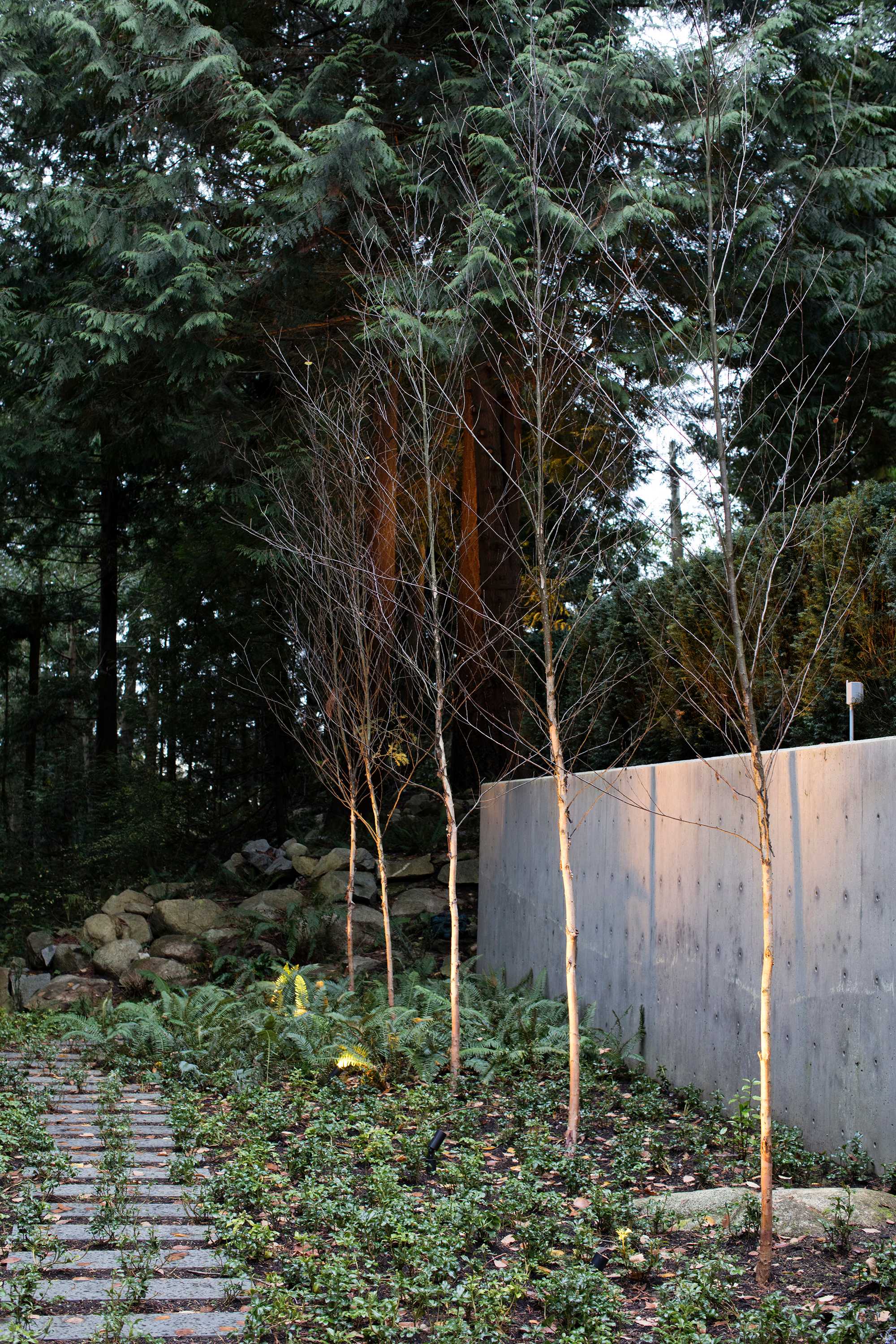 柏树瀑布住宅-5