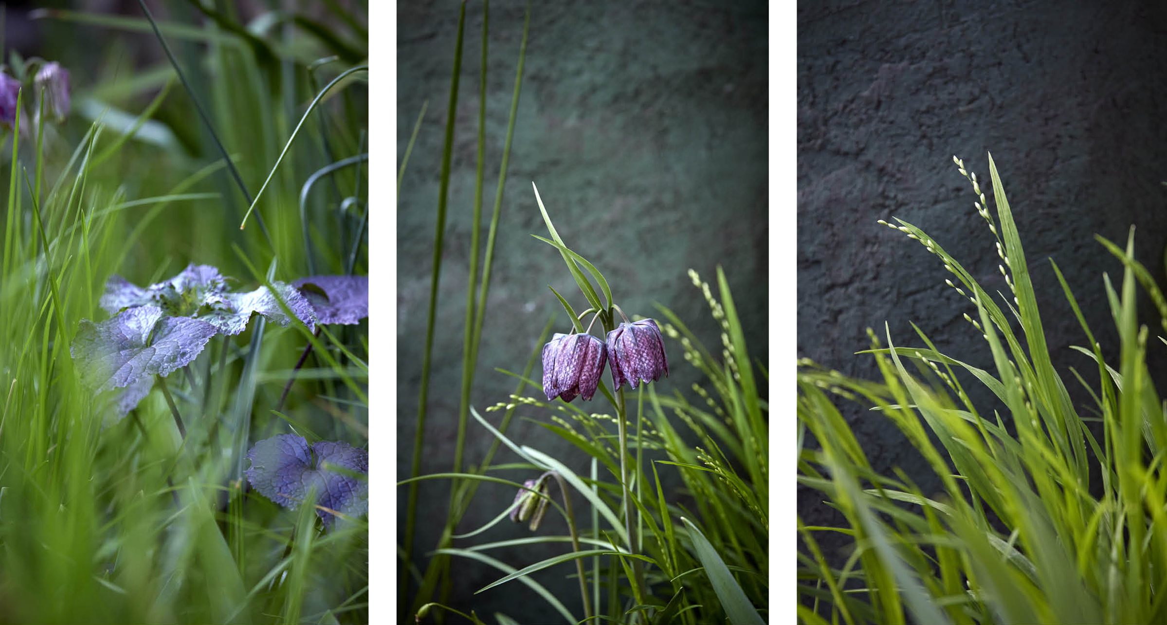 庭院花园,美在方寸之间丨英国丨Stefano Marinaz Landscape Arch-5