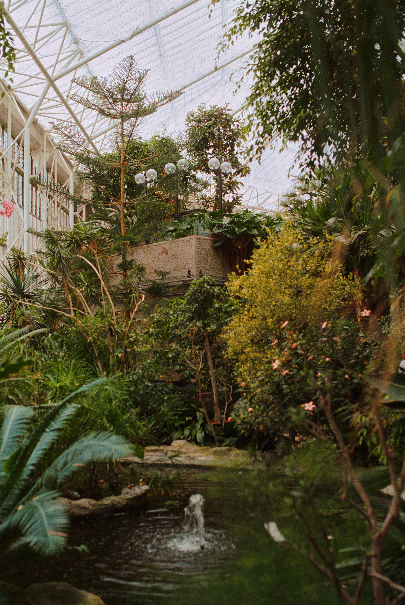 巴比肯温室丨英国伦敦-33