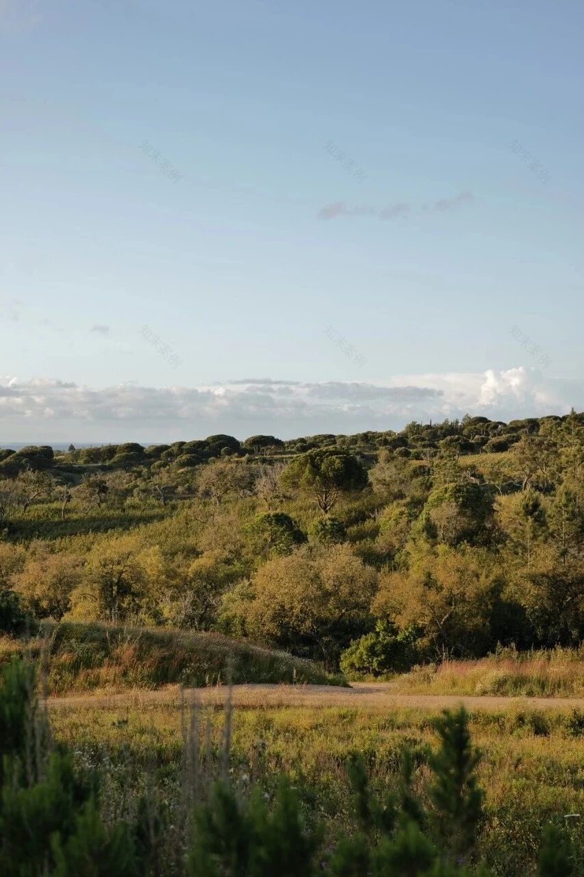 Pa·te·os|葡萄牙的庭院之心丨建筑师Manuel Aires Mateus-5