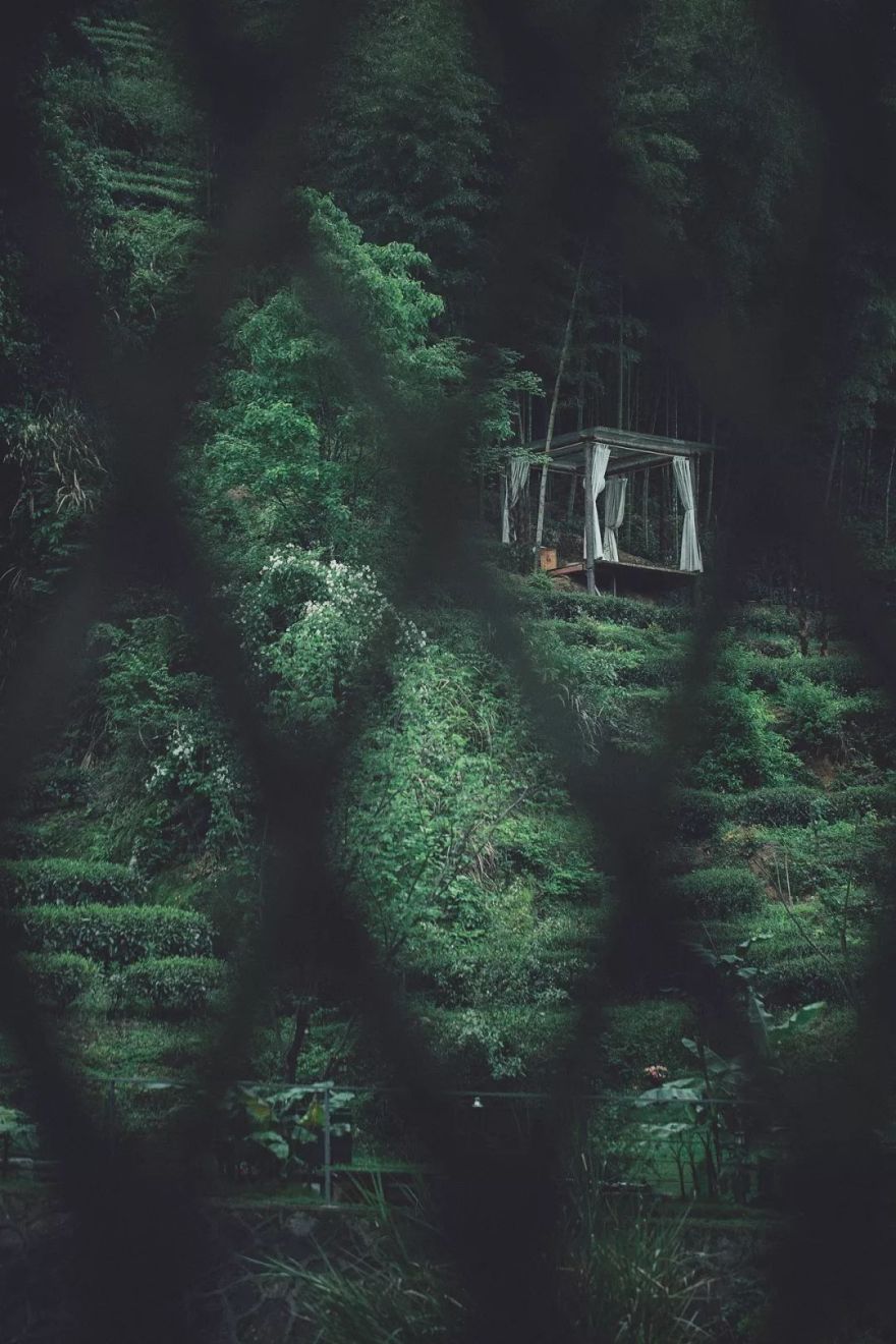 美的沉思 | 陶然于山水草木闲居的设计美学-12