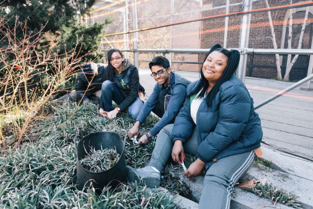 高线公园 (High Line Park)-296