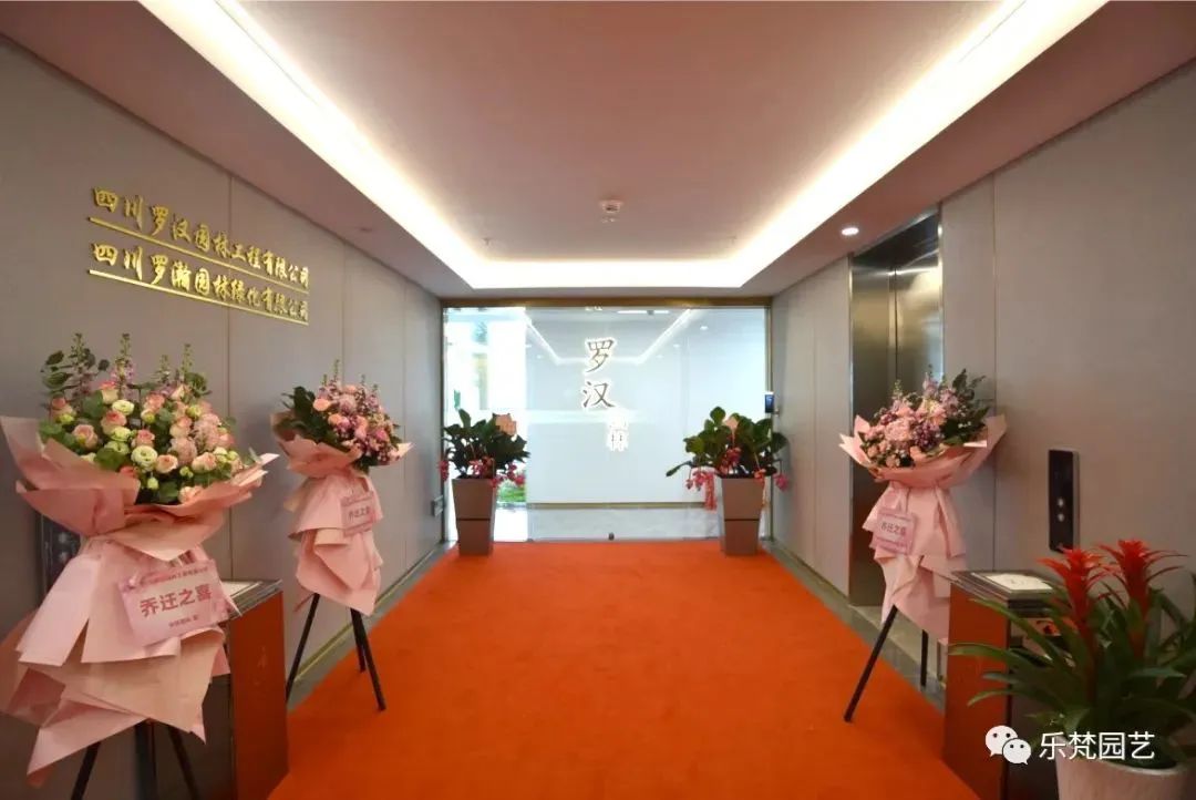 罗汉园林新办公区中庭景观丨中国成都丨成都乐梵缔境园艺有限公司-26