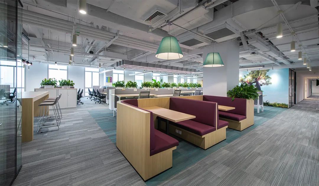 因美纳大中华区总部办公空间设计丨中国上海丨穆氏-21