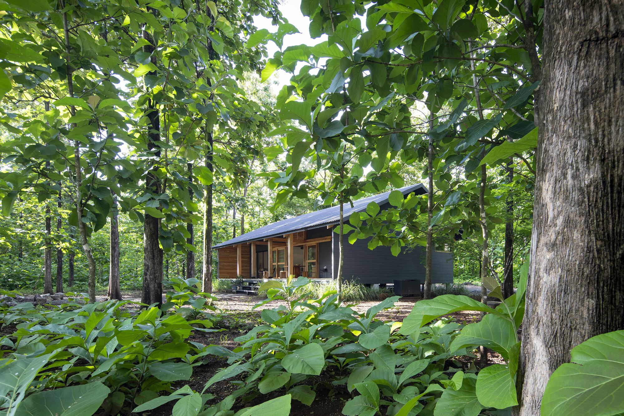 特克萨斯之家之间丨哥斯达黎加丨Aarcano Arquitectura-33