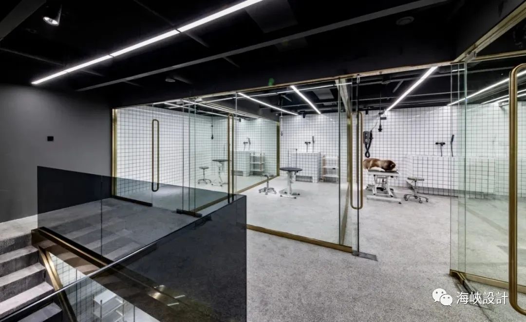 福州卡夫·House 五星級寵物店,設計演繹浪漫與精致-24