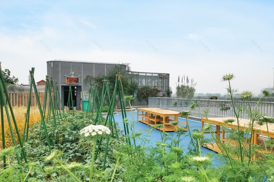 南京志远外语学校天空之园丨中国南京丨南京林业大学风景园林学院团队-20