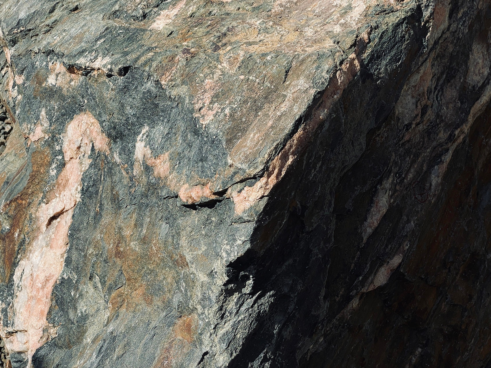 Camel Step 咖啡烘焙器商店丨沙特阿拉伯丨Faris Alosaimi（骆驼步创意团队）-18