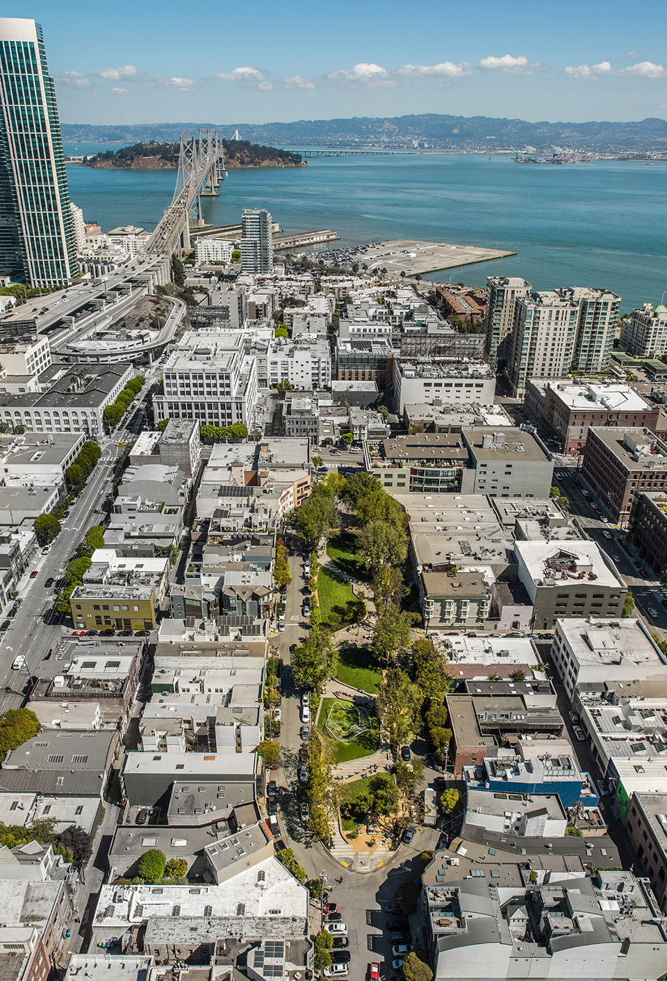 旧金山南花园 / Fletcher Studio-34