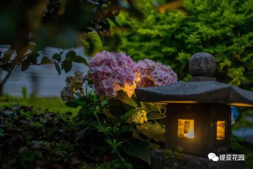 聆湖轩50号别墅花园设计丨中国宁波丨提亚生态科技(浙江)有限公司-49