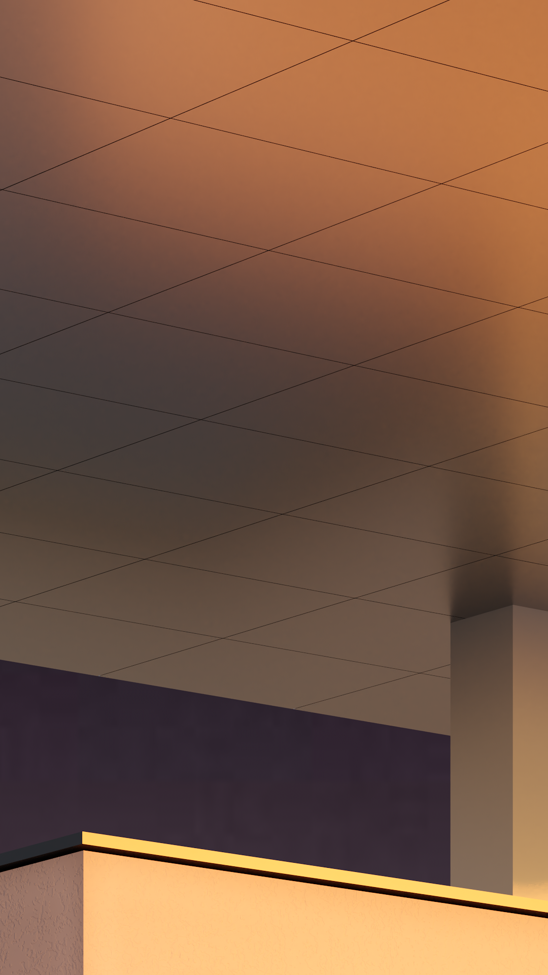 Duckphone is calling-3