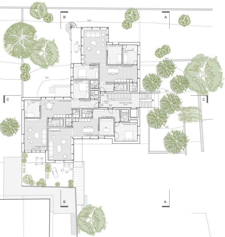 Grand' Rue 住宅与花园丨瑞士丨DGJ Paysages-12