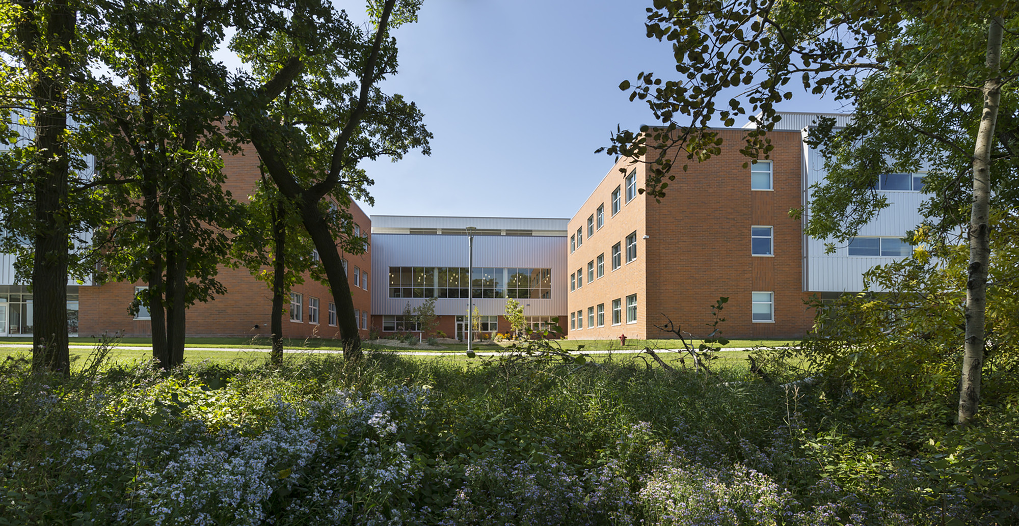 亚历山德里亚地区高中-29