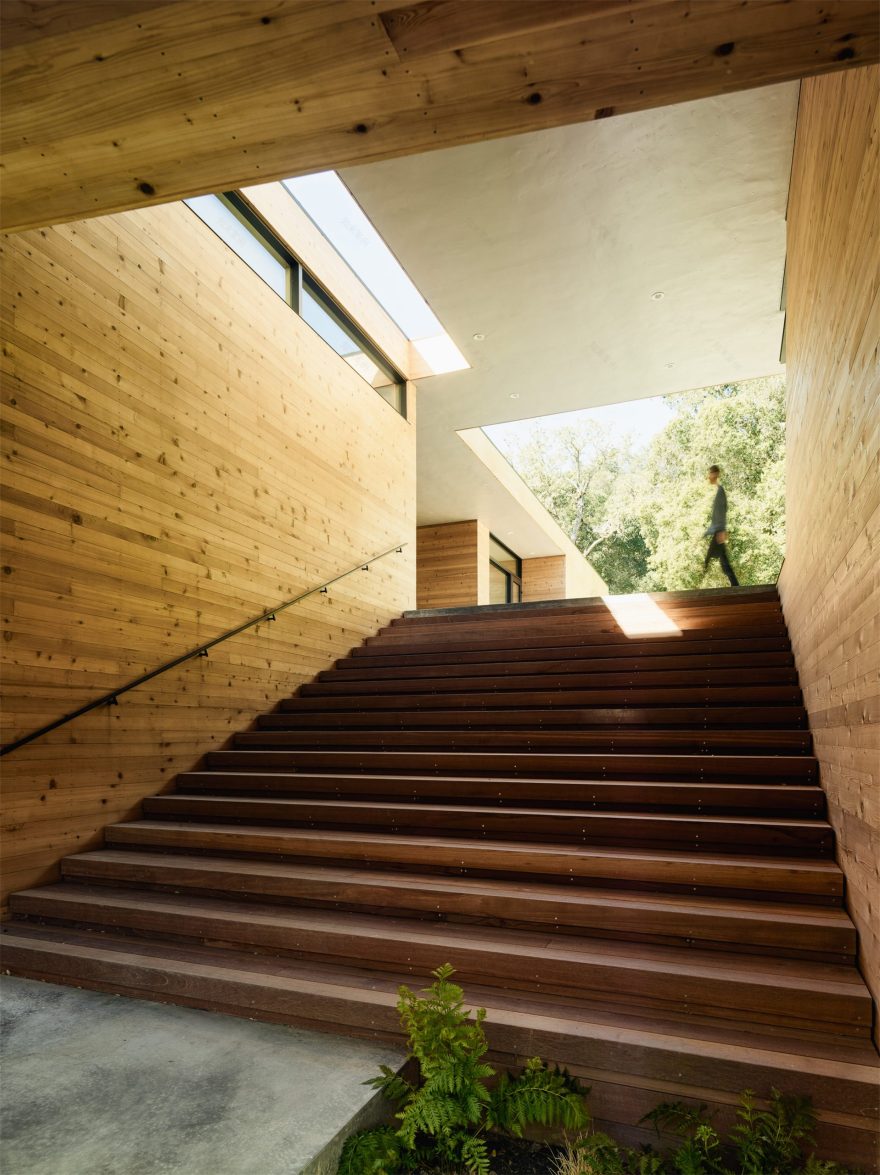 自然生长 · 私宅景观丨美国加利福尼亚-34