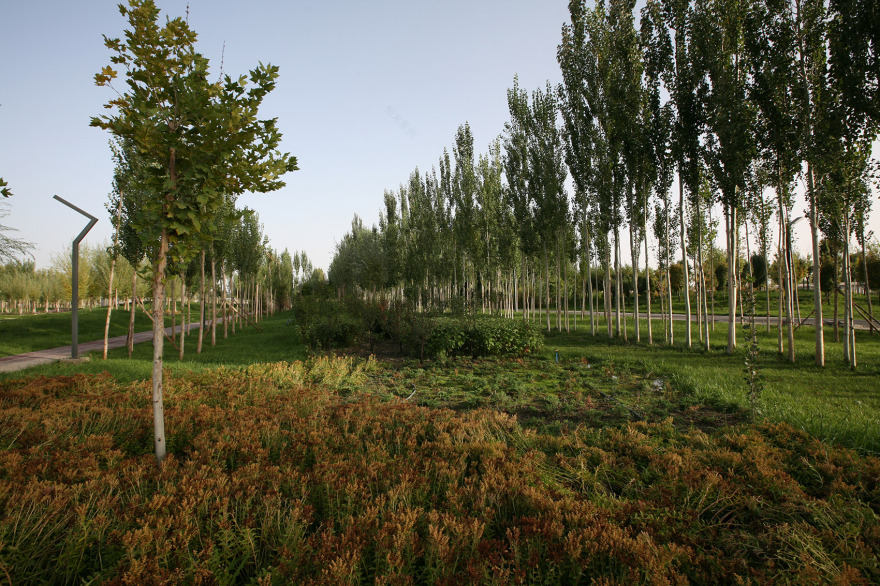 新疆巴州和硕团结公园丨中国新疆丨Rland 源树景观规划设计事务所-7