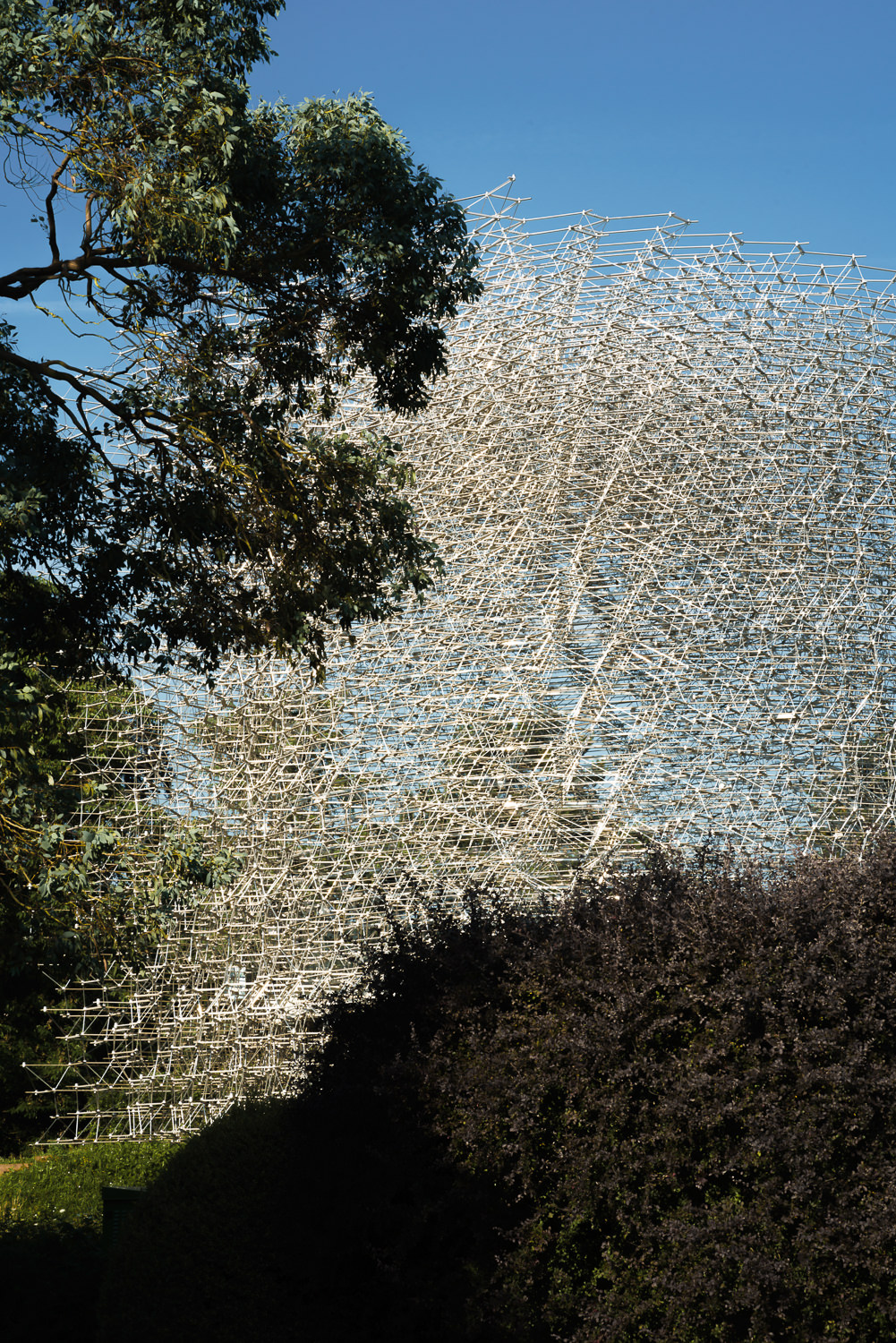 梦幻之境 · Wolfgang Buttress 的“蜂巢”-24