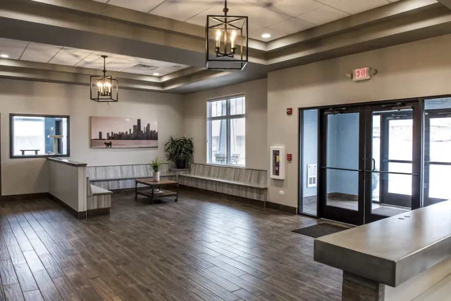 格伦代尔动物医院丨Linden Group Architects-2