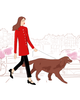宠物与时尚插画项目
