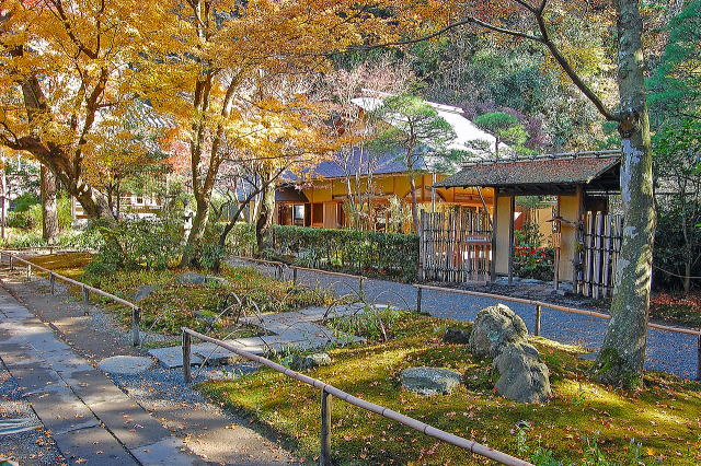 明月院庭园等景观丨日本神奈川-50