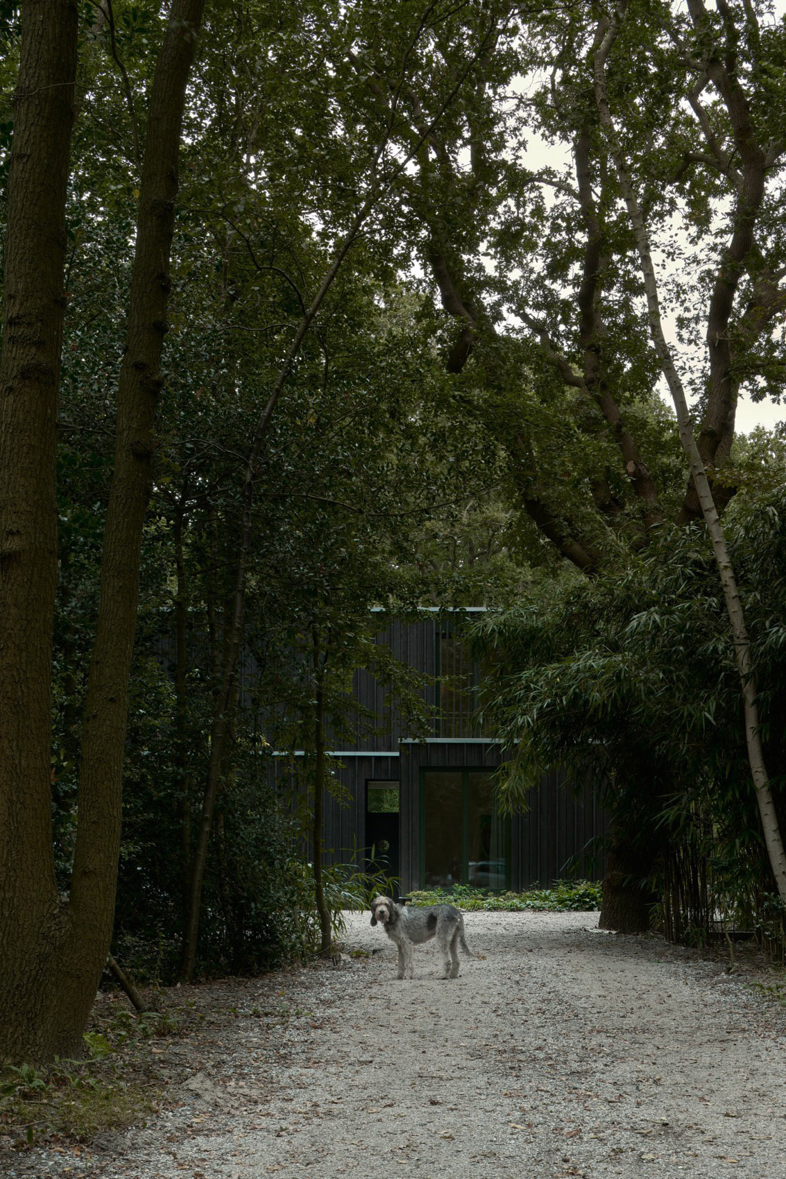 Oostvoorne森林住宅丨荷兰丨Kumiki Architecture-4