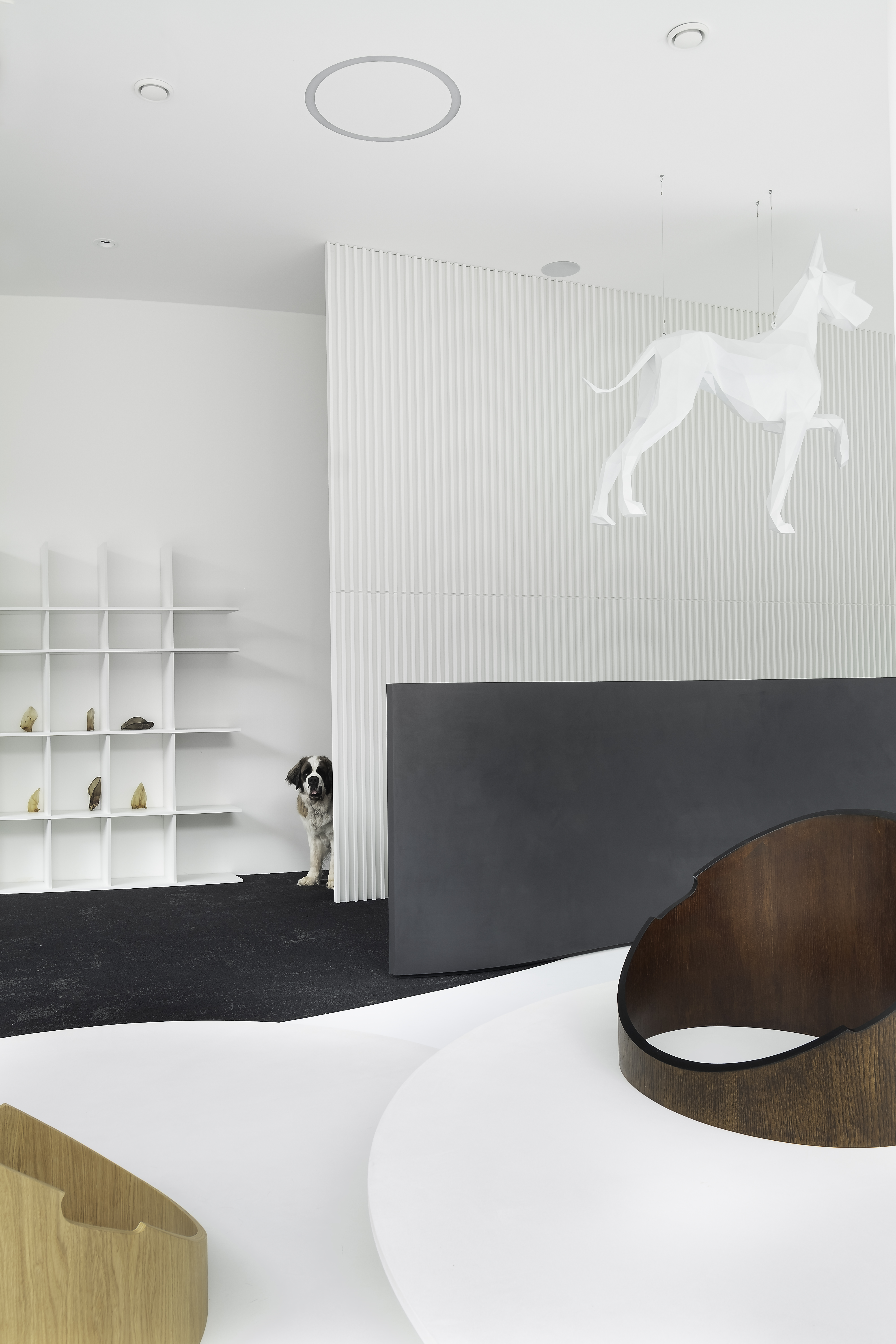 狗广场画廊丨斯洛伐克布拉迪斯拉发丨atelier 27.9-20