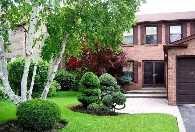 私家花园草坪种植与养护攻略-78